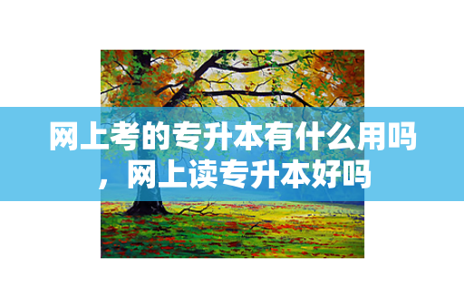 网上考的专升本有什么用吗，网上读专升本好吗