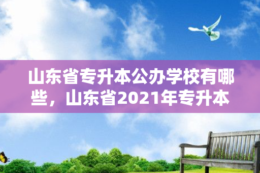 山东省专升本公办学校有哪些，山东省2021年专升本学校有哪些