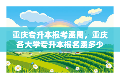 重庆专升本报考费用，重庆各大学专升本报名费多少