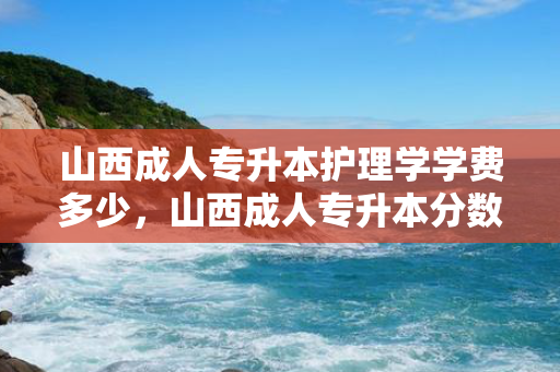 山西成人专升本护理学学费多少，山西成人专升本分数线是多少