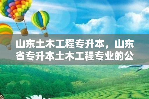 山东土木工程专升本，山东省专升本土木工程专业的公立学校