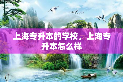 上海专升本的学校，上海专升本怎么样