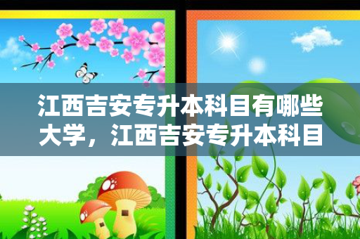 江西吉安专升本科目有哪些大学，江西吉安专升本科目有哪些专业