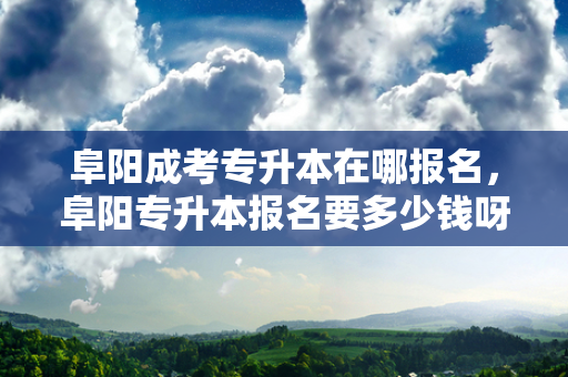 阜阳成考专升本在哪报名，阜阳专升本报名要多少钱呀