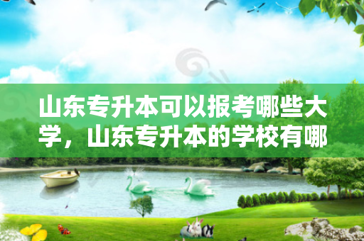 山东专升本可以报考哪些大学，山东专升本的学校有哪些