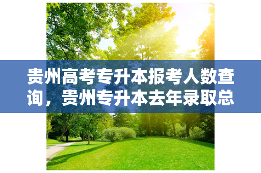 贵州高考专升本报考人数查询，贵州专升本去年录取总人数