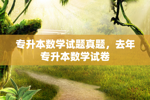 专升本数学试题真题，去年专升本数学试卷