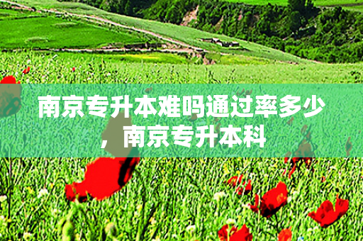 南京专升本难吗通过率多少，南京专升本科