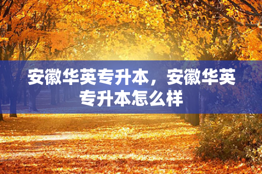 安徽华英专升本，安徽华英专升本怎么样