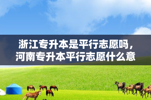 浙江专升本是平行志愿吗，河南专升本平行志愿什么意思