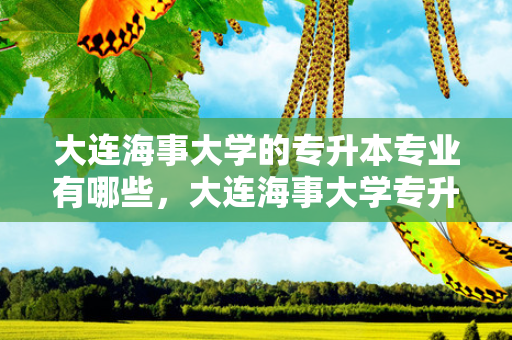 大连海事大学的专升本专业有哪些，大连海事大学专升本专业全日制