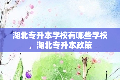 湖北专升本学校有哪些学校，湖北专升本政策