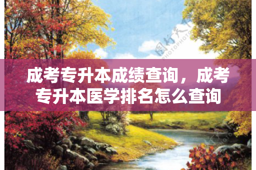 成考专升本成绩查询，成考专升本医学排名怎么查询