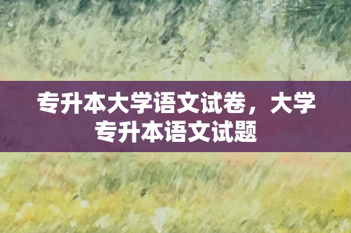专升本大学语文试卷，大学专升本语文试题