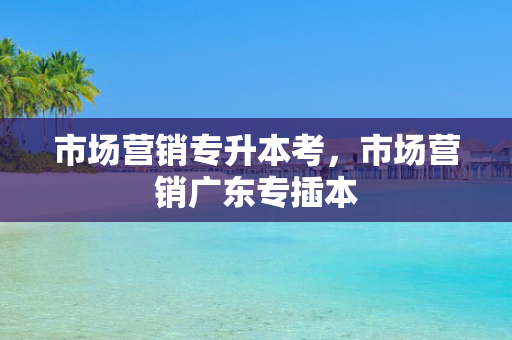 市场营销专升本考，市场营销广东专插本
