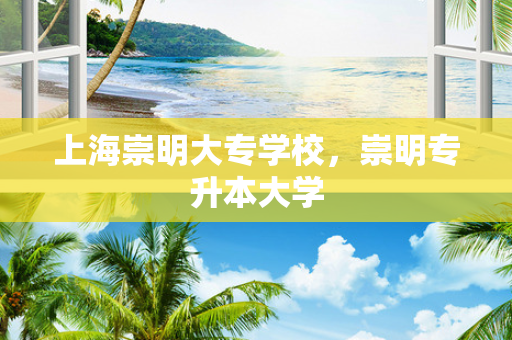 上海崇明大专学校，崇明专升本大学