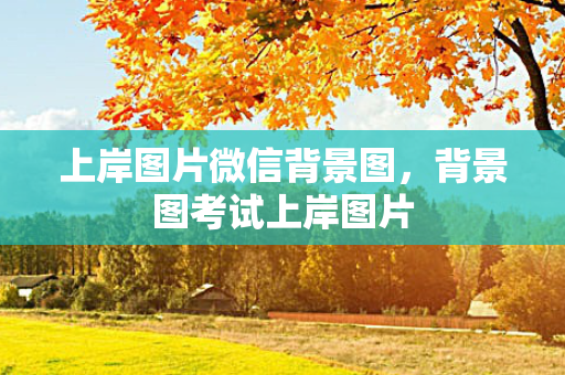 上岸图片微信背景图，背景图考试上岸图片