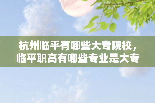 杭州临平有哪些大专院校，临平职高有哪些专业是大专