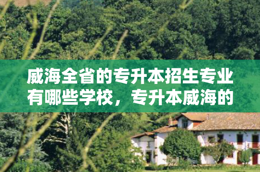 威海全省的专升本招生专业有哪些学校，专升本威海的学校