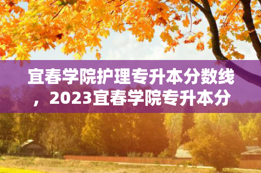 宜春学院护理专升本分数线，2023宜春学院专升本分数线是多少