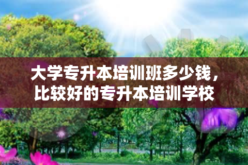 大学专升本培训班多少钱，比较好的专升本培训学校