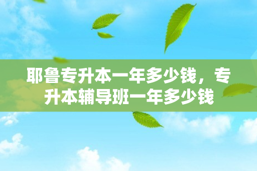耶鲁专升本一年多少钱，专升本辅导班一年多少钱