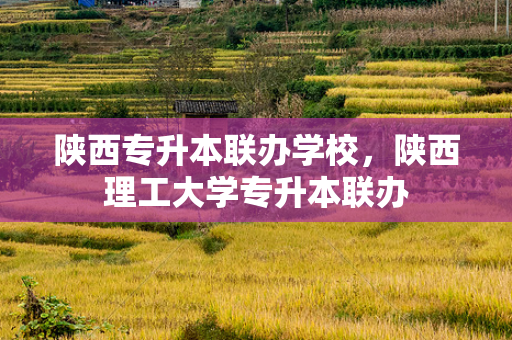 陕西专升本联办学校，陕西理工大学专升本联办