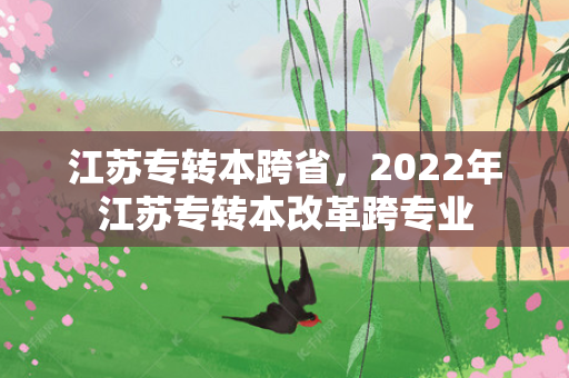 江苏专转本跨省，2022年江苏专转本改革跨专业