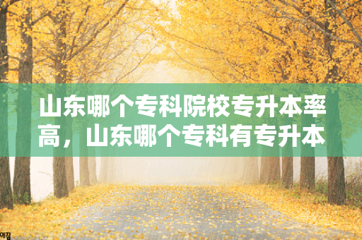 山东哪个专科院校专升本率高，山东哪个专科有专升本课程的