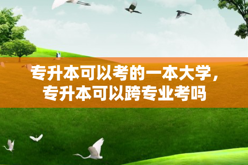 专升本可以考的一本大学，专升本可以跨专业考吗