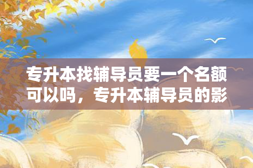 专升本找辅导员要一个名额可以吗，专升本辅导员的影响