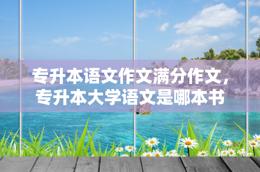 专升本语文作文满分作文，专升本大学语文是哪本书
