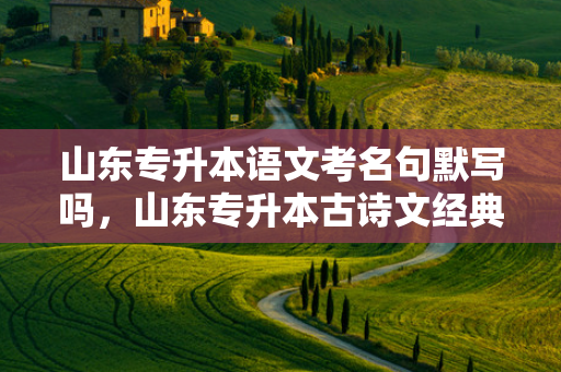 山东专升本语文考名句默写吗，山东专升本古诗文经典名句