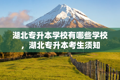 湖北专升本学校有哪些学校，湖北专升本考生须知
