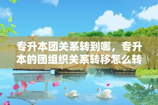 专升本团关系转到哪，专升本的团组织关系转移怎么转