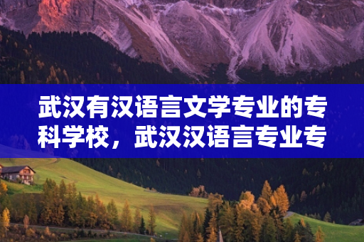 武汉有汉语言文学专业的专科学校，武汉汉语言专业专升本学校推荐