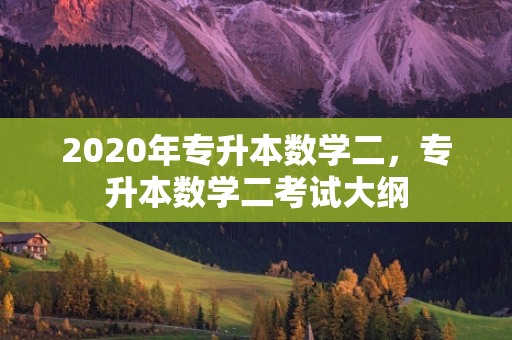 2020年专升本数学二，专升本数学二考试大纲
