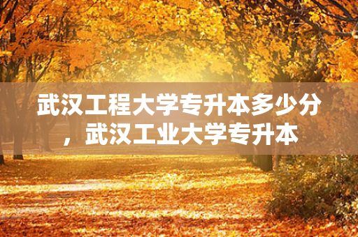武汉工程大学专升本多少分，武汉工业大学专升本