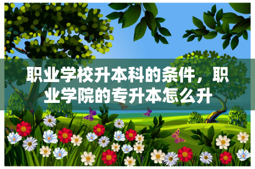 职业学校升本科的条件，职业学院的专升本怎么升