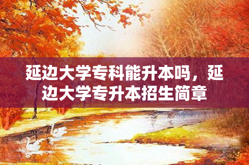 延边大学专科能升本吗，延边大学专升本招生简章
