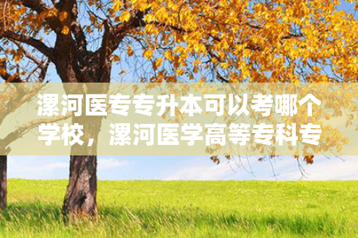 漯河医专专升本可以考哪个学校，漯河医学高等专科专升本