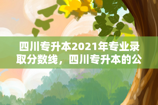 四川专升本2021年专业录取分数线，四川专升本的公办大学