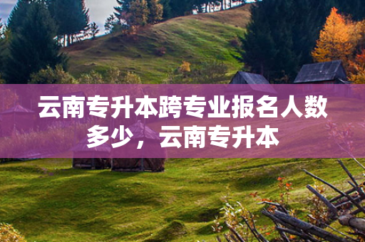 云南专升本跨专业报名人数多少，云南专升本