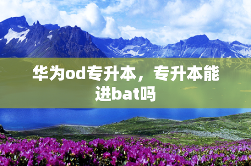 华为od专升本，专升本能进bat吗