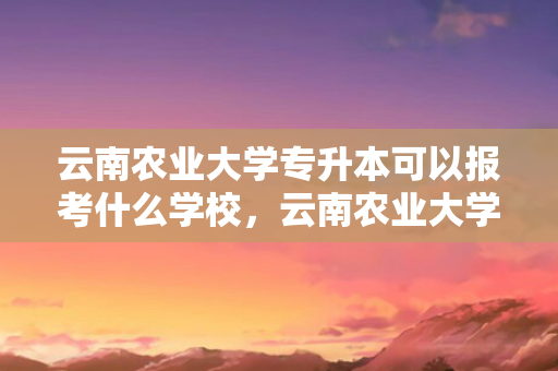云南农业大学专升本可以报考什么学校，云南农业大学专升本2024招生计划