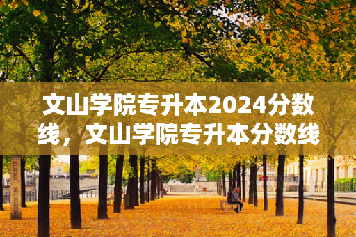 文山学院专升本2024分数线，文山学院专升本分数线