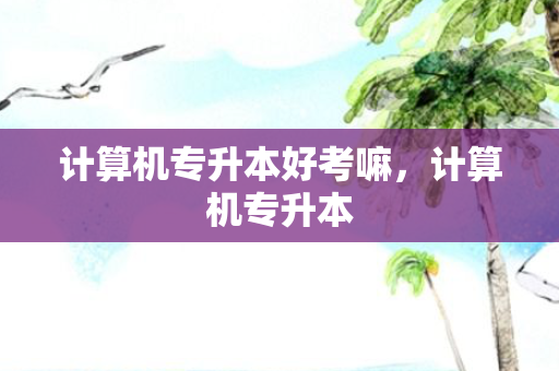 计算机专升本好考嘛，计算机专升本