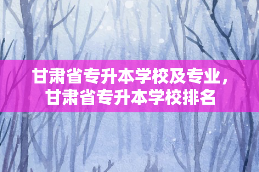 甘肃省专升本学校及专业，甘肃省专升本学校排名