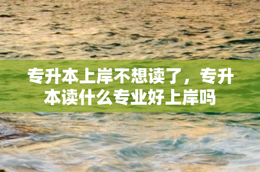 专升本上岸不想读了，专升本读什么专业好上岸吗