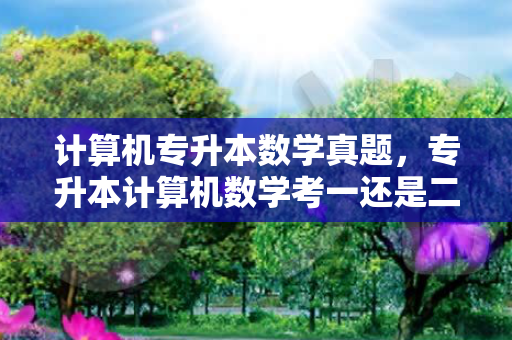 计算机专升本数学真题，专升本计算机数学考一还是二
